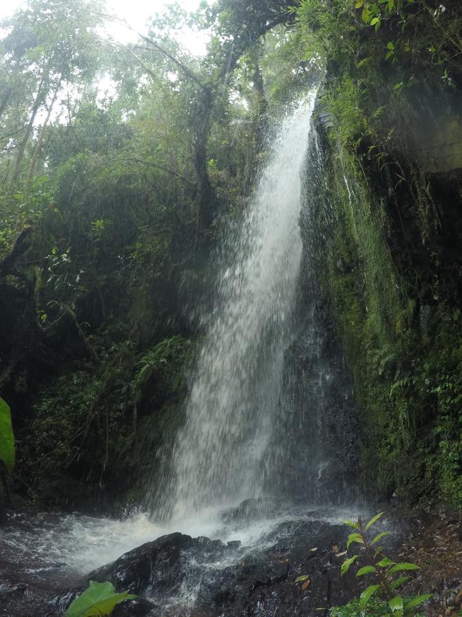 Tres de Junio Cabana De Montana La Magnolia, Cerro De La Muerte De La Canuela Cloud Forest מראה חיצוני תמונה
