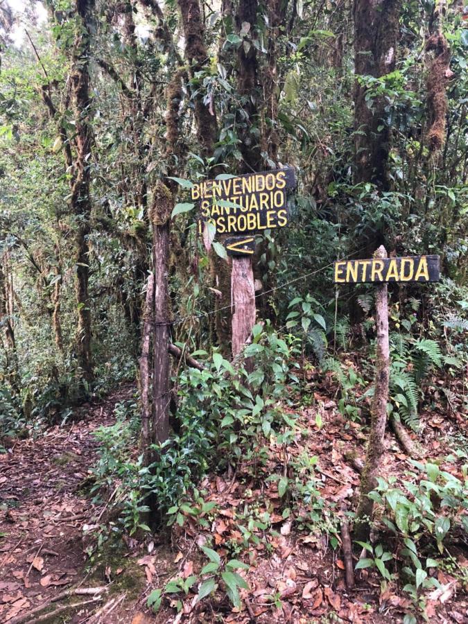 Tres de Junio Cabana De Montana La Magnolia, Cerro De La Muerte De La Canuela Cloud Forest מראה חיצוני תמונה